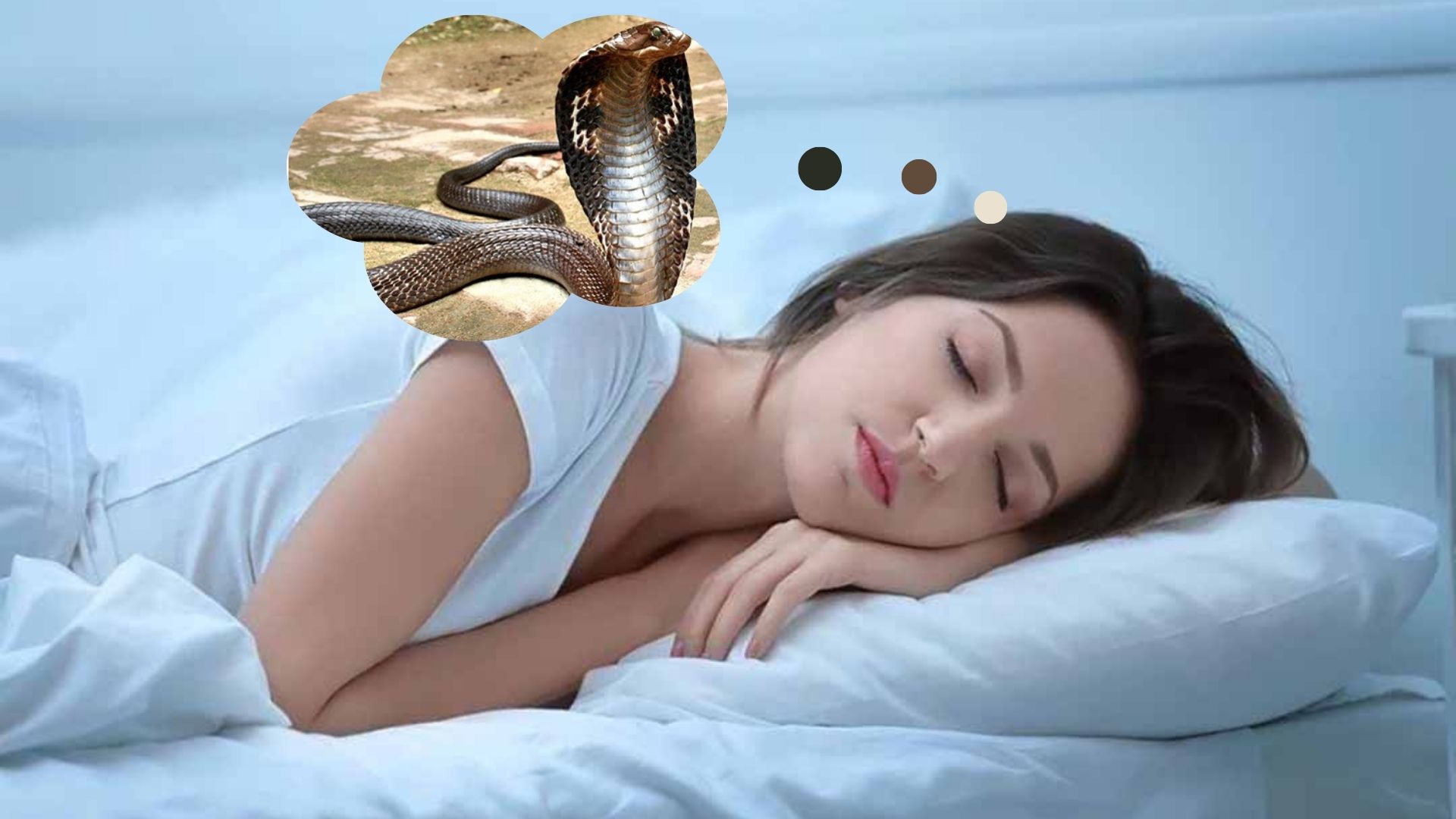 Giấc mơ thấy rắn có ý nghĩa gì?