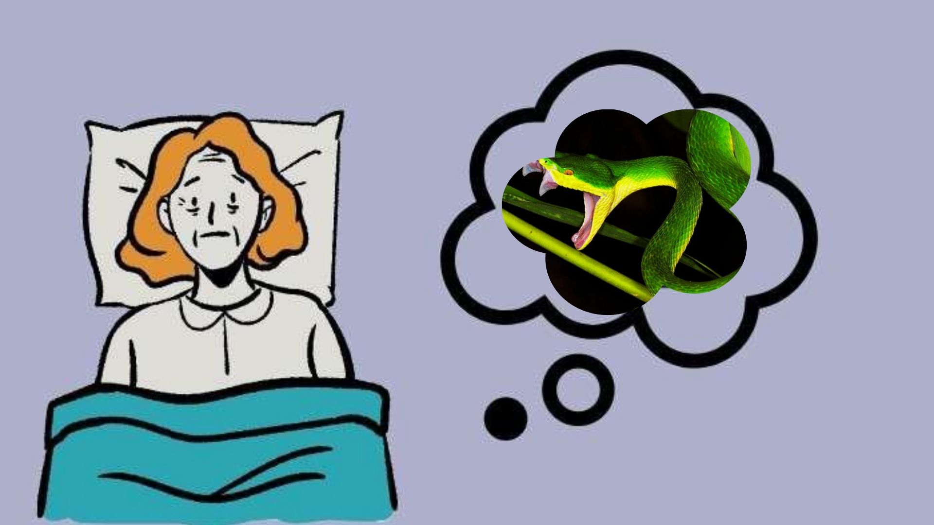 Lý giải nguyên do mơ thấy rắn xanh