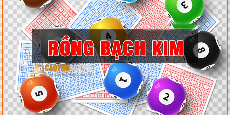 Một vài lưu ý khi soi cầu rồng bạch kim