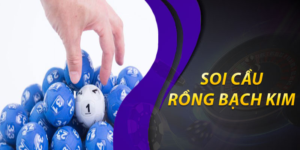 Vì sao người chơi nên chọn soi cầu rồng bạch kim