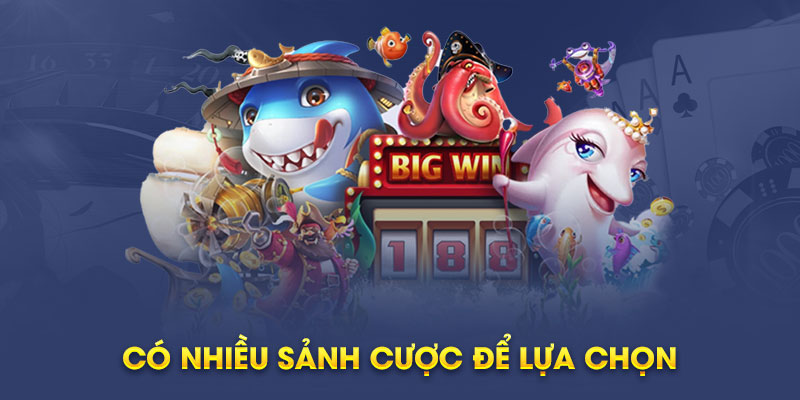 Chia sẻ tip hay chơi vua bắn cá đổi thưởng